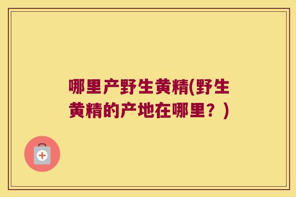 哪里产野生黄精(野生黄精的产地在哪里？)