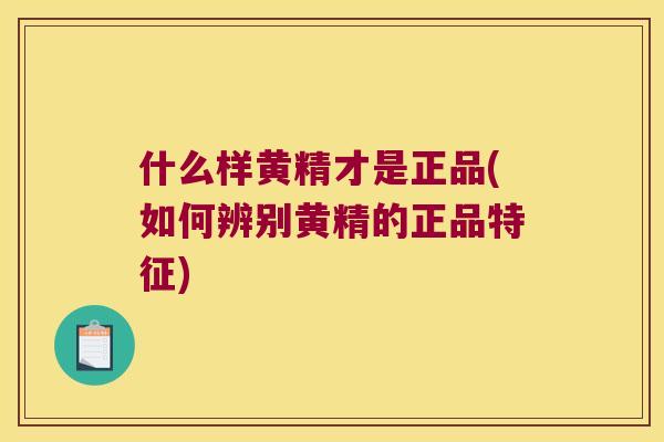 什么样黄精才是正品(如何辨别黄精的正品特征)