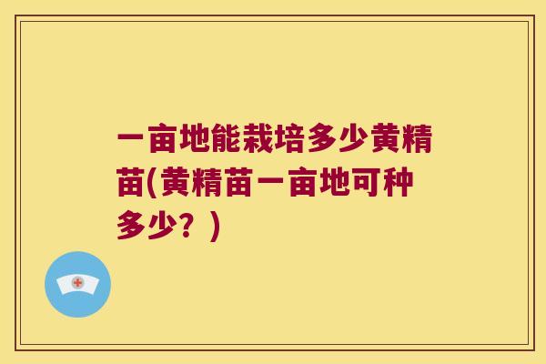一亩地能栽培多少黄精苗(黄精苗一亩地可种多少？)