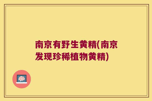 南京有野生黄精(南京发现珍稀植物黄精)