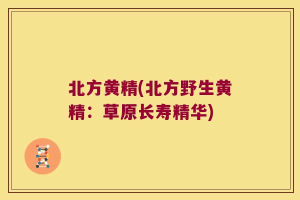 北方黄精(北方野生黄精：草原长寿精华)