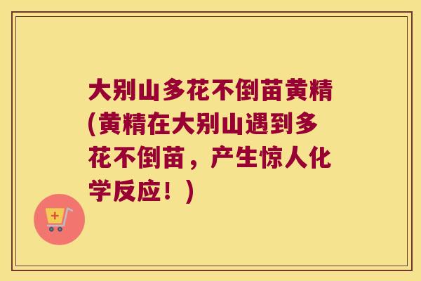 大别山多花不倒苗黄精(黄精在大别山遇到多花不倒苗，产生惊人化学反应！)