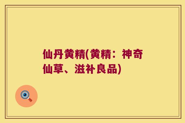 仙丹黄精(黄精：神奇仙草、滋补良品)