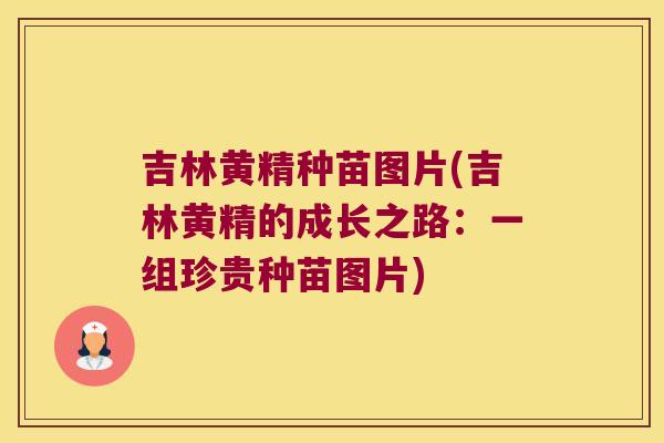 吉林黄精种苗图片(吉林黄精的成长之路：一组珍贵种苗图片)