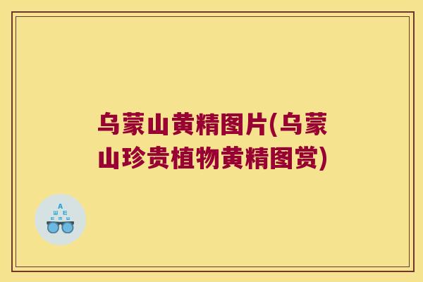 乌蒙山黄精图片(乌蒙山珍贵植物黄精图赏)