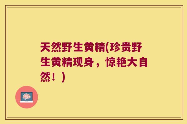天然野生黄精(珍贵野生黄精现身，惊艳大自然！)