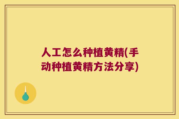 人工怎么种植黄精(手动种植黄精方法分享)
