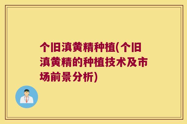 个旧滇黄精种植(个旧滇黄精的种植技术及市场前景分析) 个旧滇黄精种植(个旧滇黄精的种植技术及市场前景分析)