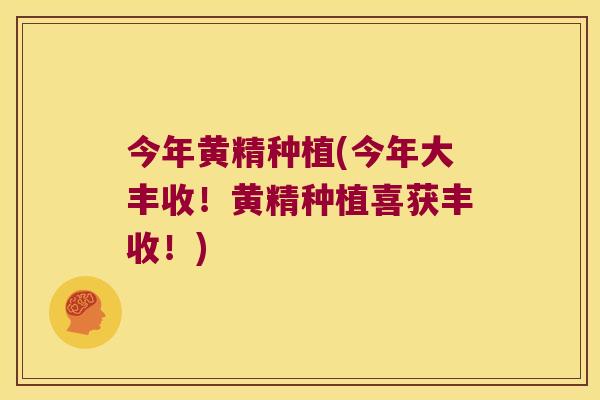 今年黄精种植(今年大丰收!黄精种植喜获丰收!) 今年黄精种植(今年大丰收!黄精种植喜获丰收!)