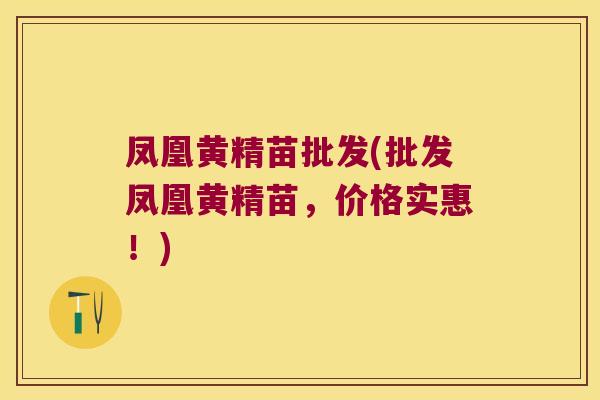 凤凰黄精苗批发(批发凤凰黄精苗，价格实惠！)