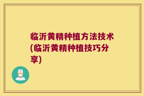 临沂黄精种植方法技术(临沂黄精种植技巧分享)