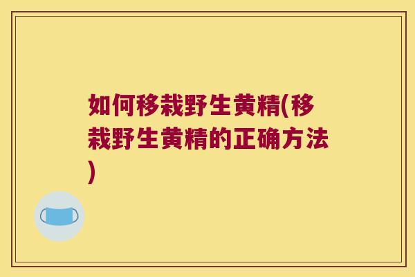 如何移栽野生黄精(移栽野生黄精的正确方法)