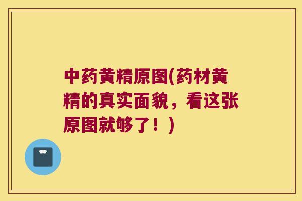 黄精原图(药材黄精的真实面貌，看这张原图就够了！)