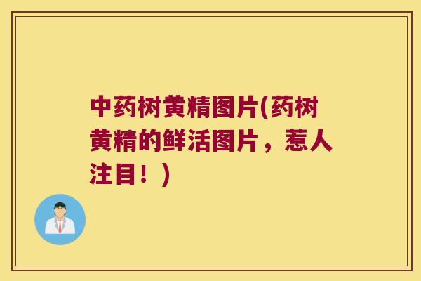 树黄精图片(药树黄精的鲜活图片,惹人注目!) 树黄精图片(药树黄精的鲜活图片,惹人注目!)