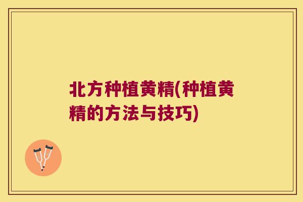 北方种植黄精(种植黄精的方法与技巧)
