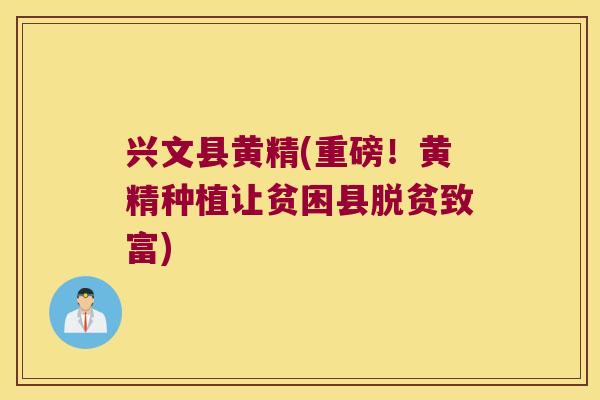 兴文县黄精(重磅!黄精种植让贫困县脱贫致富) 兴文县黄精(重磅!黄精种植让贫困县脱贫致富)