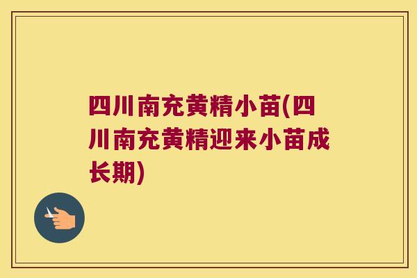 四川南充黄精小苗(四川南充黄精迎来小苗成长期) 四川南充黄精小苗(四川南充黄精迎来小苗成长期)
