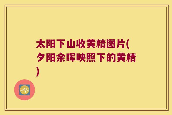 太阳下山收黄精图片(夕阳余晖映照下的黄精)