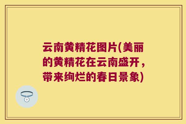 云南黄精花图片(美丽的黄精花在云南盛开,带来绚烂的春日景象) 云南黄精花图片(美丽的黄精花在云南盛开,带来绚烂的春日景象)