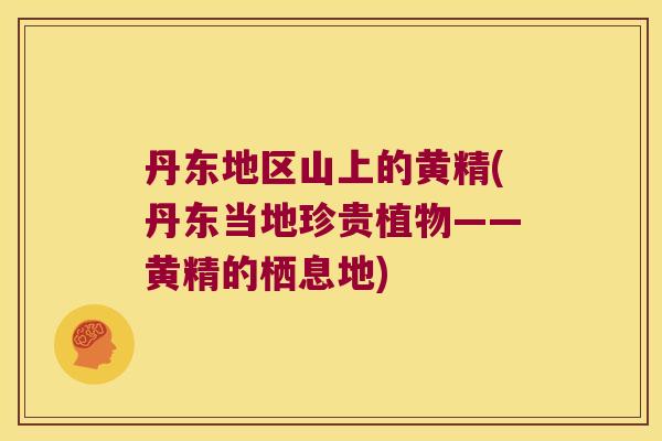 丹东地区山上的黄精(丹东当地珍贵植物——黄精的栖息地)
