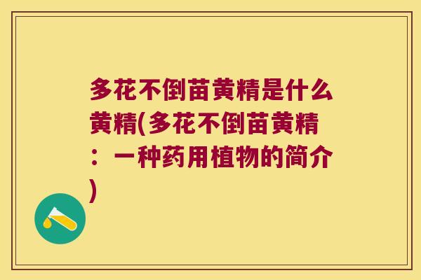 多花不倒苗黄精是什么黄精(多花不倒苗黄精:一种药用植物的简介) 多花不倒苗黄精是什么黄精(多花不倒苗黄精:一种药用植物的简介)