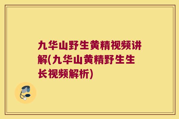 九华山野生黄精视频讲解(九华山黄精野生生长视频解析) 九华山野生黄精视频讲解(九华山黄精野生生长视频解析)