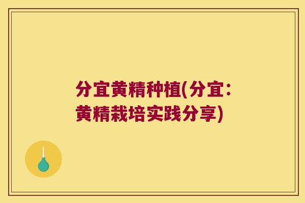 分宜黄精种植(分宜：黄精栽培实践分享)