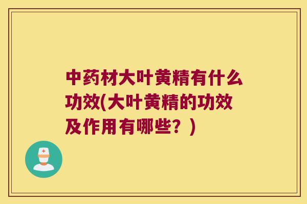 材大叶黄精有什么功效(大叶黄精的功效及作用有哪些？)