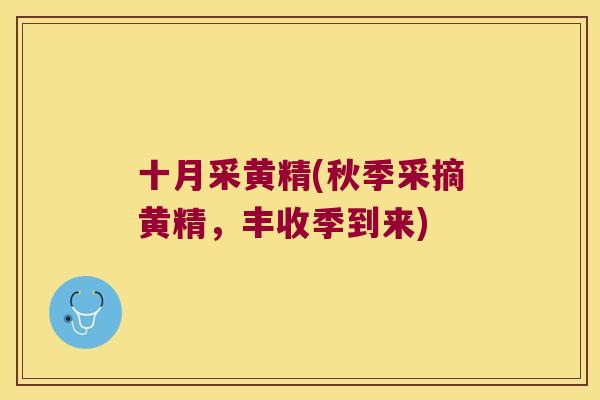 十月采黄精(秋季采摘黄精,丰收季到来) 十月采黄精(秋季采摘黄精,丰收季到来)