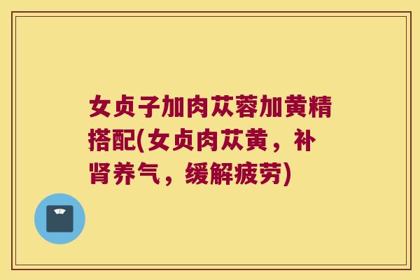 女贞子加肉苁蓉加黄精搭配(女贞肉苁黄，补养气，缓解疲劳)