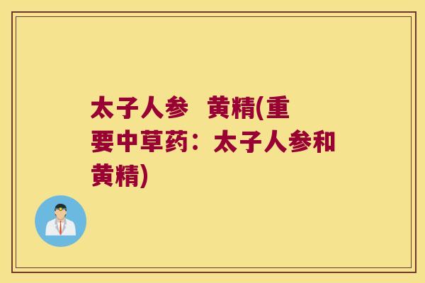 太子人参  黄精(重要中草药：太子人参和黄精)