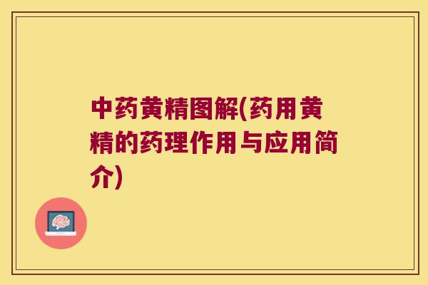 黄精图解(药用黄精的药理作用与应用简介)