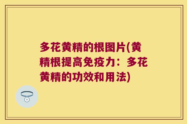 多花黄精的根图片(黄精根提高力：多花黄精的功效和用法)