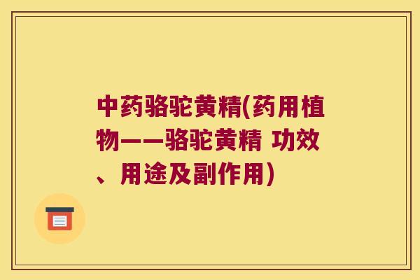 骆驼黄精(药用植物——骆驼黄精 功效、用途及副作用) 骆驼黄精(药用植物——骆驼黄精 功效、用途及副作用)