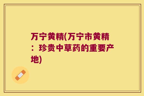 万宁黄精(万宁市黄精：珍贵中草药的重要产地)