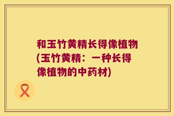 和玉竹黄精长得像植物(玉竹黄精：一种长得像植物的材)