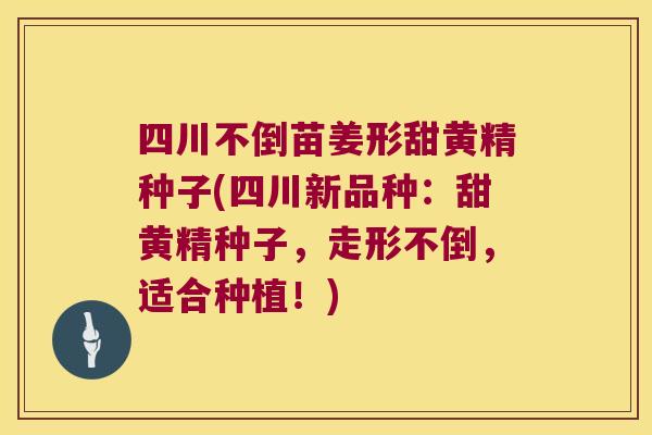 四川不倒苗姜形甜黄精种子(四川新品种：甜黄精种子，走形不倒，适合种植！)