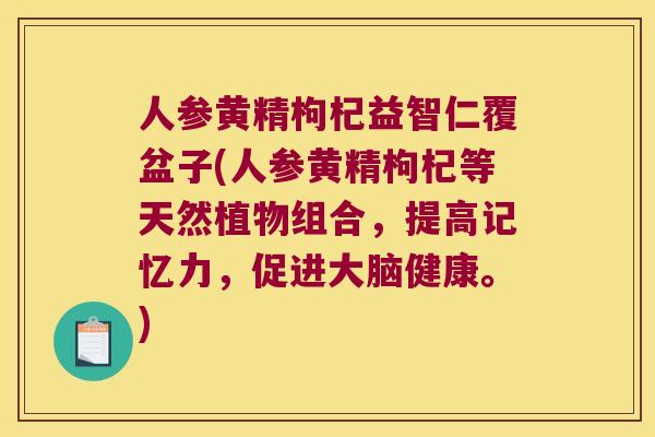 人参黄精枸杞益智仁覆盆子(人参黄精枸杞等天然植物组合，提高记忆力，促进大脑健康。)