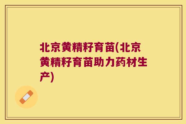 北京黄精籽育苗(北京黄精籽育苗助力药材生产) 北京黄精籽育苗(北京黄精籽育苗助力药材生产)