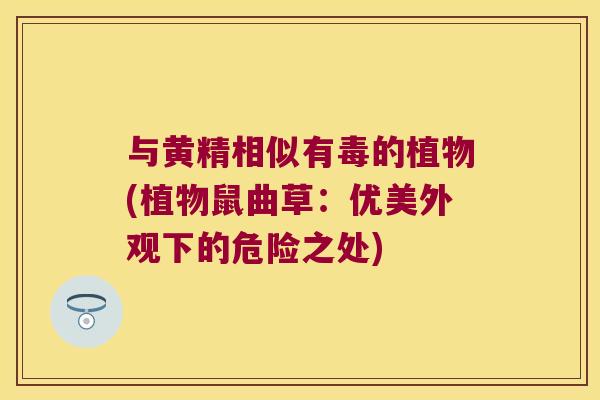 与黄精相似有毒的植物(植物鼠曲草:优美外观下的危险之处) 与黄精相似有毒的植物(植物鼠曲草:优美外观下的危险之处)