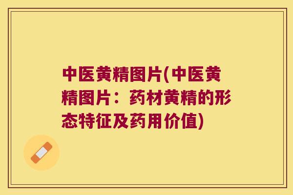 中医黄精图片(中医黄精图片：药材黄精的形态特征及药用价值)