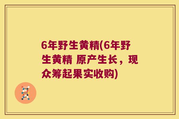 6年野生黄精(6年野生黄精 原产生长,现众筹起果实收购) 6年野生黄精(6年野生黄精 原产生长,现众筹起果实收购)