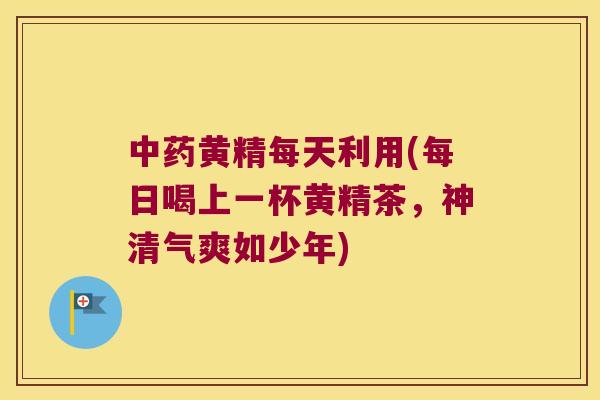 黄精每天利用(每日喝上一杯黄精茶,神清气爽如少年) 黄精每天利用(每日喝上一杯黄精茶,神清气爽如少年)
