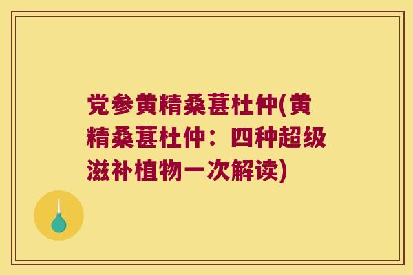 党参黄精桑葚杜仲(黄精桑葚杜仲:四种超级滋补植物一次解读) 党参黄精桑葚杜仲(黄精桑葚杜仲:四种超级滋补植物一次解读)