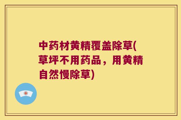 材黄精覆盖除草(草坪不用药品，用黄精自然慢除草)