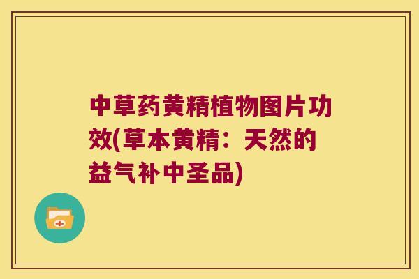 中草药黄精植物图片功效(草本黄精:天然的益气补中圣品) 中草药黄精植物图片功效(草本黄精:天然的益气补中圣品)