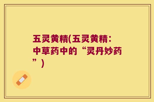 五灵黄精(五灵黄精：中草药中的“灵丹妙药”)