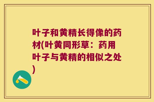 叶子和黄精长得像的药材(叶黄同形草:药用叶子与黄精的相似之处) 叶子和黄精长得像的药材(叶黄同形草:药用叶子与黄精的相似之处)