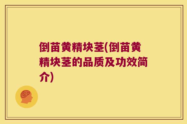 倒苗黄精块茎(倒苗黄精块茎的品质及功效简介)