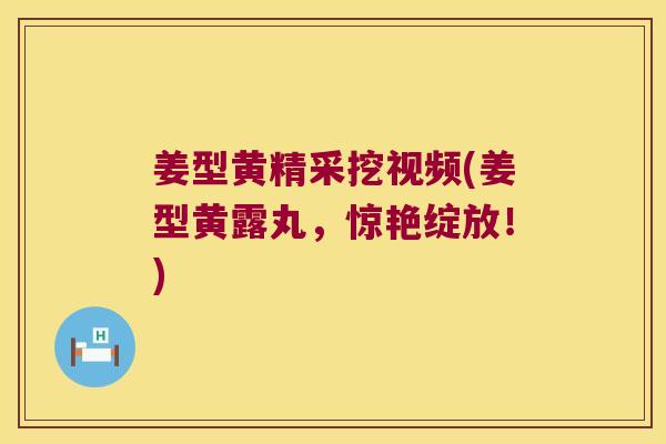 姜型黄精采挖视频(姜型黄露丸，惊艳绽放！)